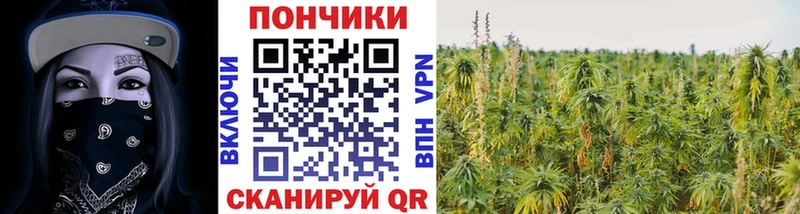 Каннабис OG Kush  Нефтегорск 